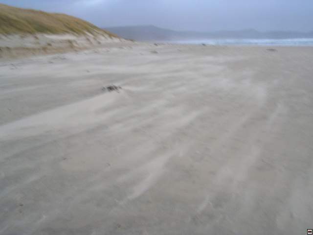 steward island 002.jpg
